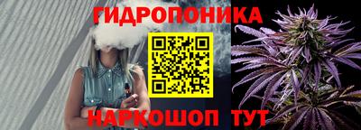 spice Гусь-Хрустальный