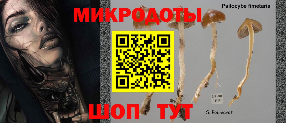 Псилоцибиновые грибы Magic Shrooms  Вход с VPN  Людиново 