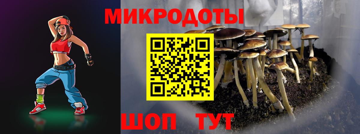 Псилоцибиновые грибы GOLDEN TEACHER Людиново